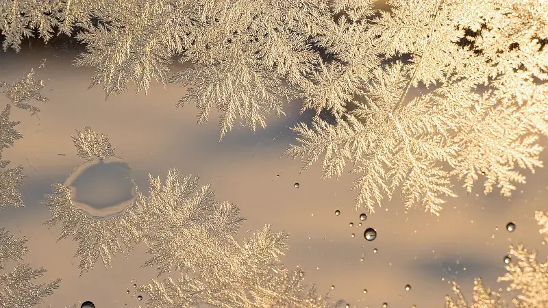 Standbild aus dem Video „Wissen“